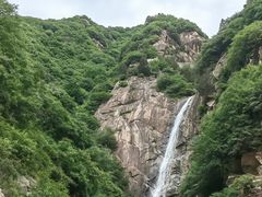 -王顺山国家森林公园