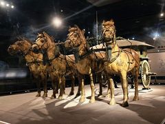 -秦始皇帝陵博物院(兵马俑)