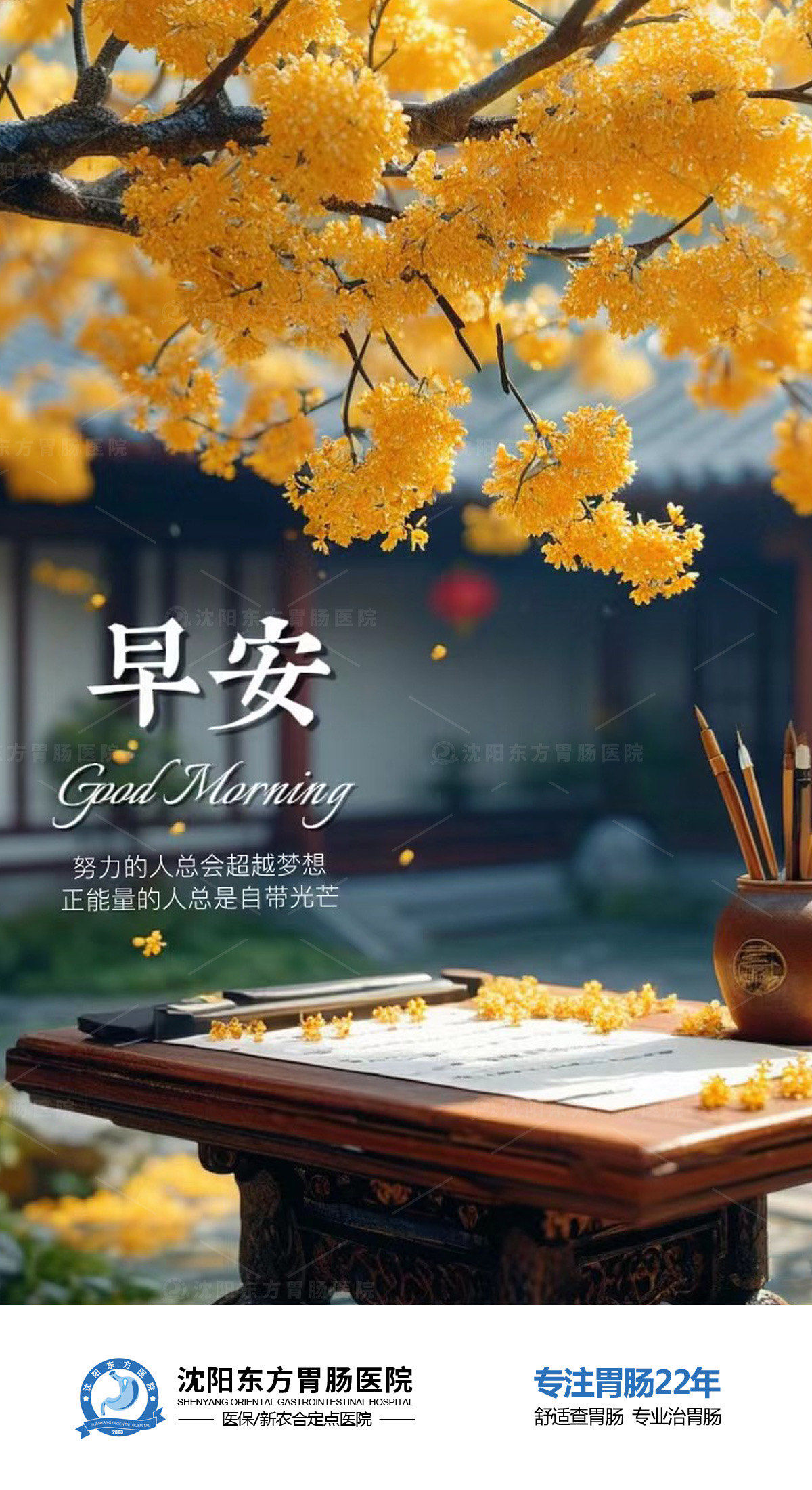努力的人总会超越梦想✨
✊正能量的人总是自带
