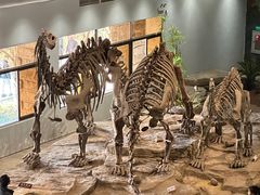 -自贡恐龙博物馆