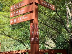 -赤水丹霞旅游区·佛光岩