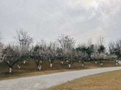 -国际非物质文化遗产博览园