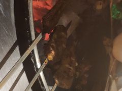 -忠义水浒烤肉(体育西路店)