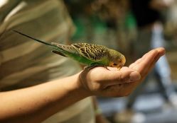 -酷嗒动物文化乐园(cutezoo西溪乐天城店)