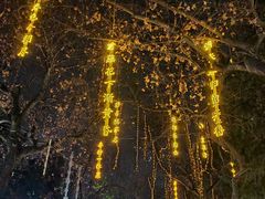 -胖子鱼·天水麻辣鱼火锅(秦州407店)