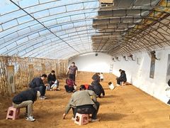 -房山世界地质公园博物馆