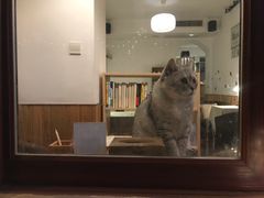 -隅cafe(傅厚岗店)