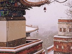 -颐和园