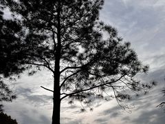 -白塘生态植物园