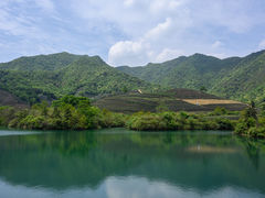 -龙坞茶村