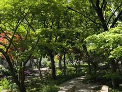 -秋霞圃