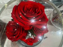 -ROSEONLY诺誓(磐基中心店)