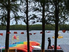 -上海海湾国家森林公园