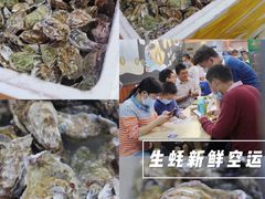 -爱蚝屋