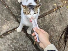 -广州兰圃