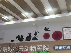 -瑞派·关忠动物医院猫科外科·异宠·24小时转诊中心(祥云店)
