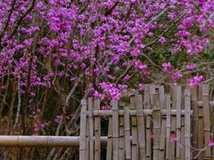 -天台山赤城山景区