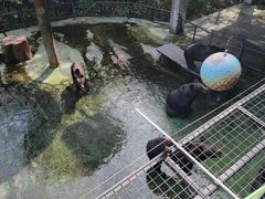 -深圳野生动物园