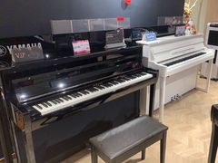 -雅歌音乐培训中心·钢琴培训·乐器培训(交道口店)