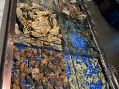 -渔公码头·九龙湾国际饭店