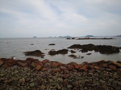 -野狸岛