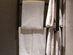 -新加坡瑞士史丹福酒店