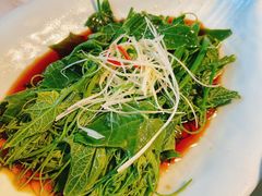 -四世同堂·京菜·烤鸭(双井店)