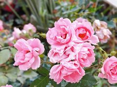 -人民公园(罗湖区)