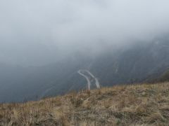 -白草畔自然风景区