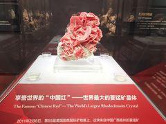 -湖南省地质博物馆