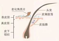 -张昊造型