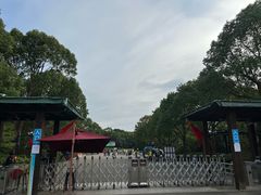 -上海海湾国家森林公园