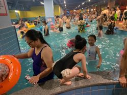 点击看大图 -宝燕乐园(闵行旗舰店)