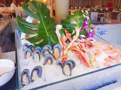 -北京首都机场希尔顿酒店
