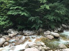 -青峰峡国家森林公园