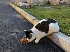 -北京大学百年讲堂