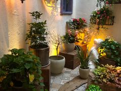 -上合花园花园烧烤(贵阳店)