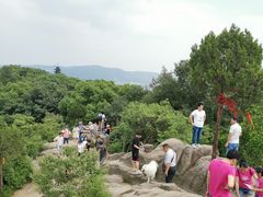 -灵岩山风景区