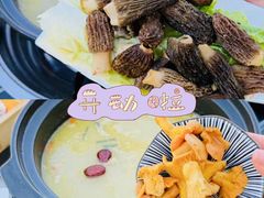 -野菌皇海景野生菌火锅(滨海大道店)