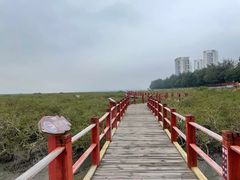 -北海金海湾红树林生态旅游区