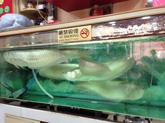大堂-文辉墨鱼丸大王(铜锣湾渣甸街总店)