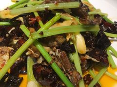 火爆鳝片-铁公鸡·四川料理(天环广场店)