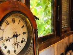 -斯多格书乡(北京大学畅春园店)