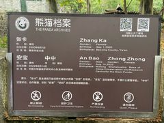 -都江堰中华大熊猫苑