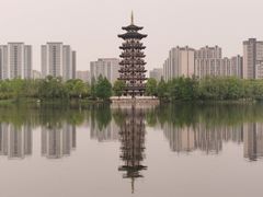 -洋湖国家湿地公园