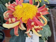 -国家植物园