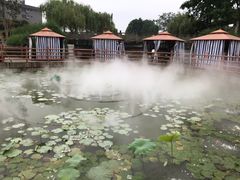 -马帮寨院坝火锅(龙港公园店)