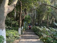 -云龙山