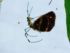 -东天目山风景区