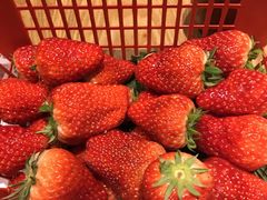 -峨嵋小镇·川菜(勒泰中心店)